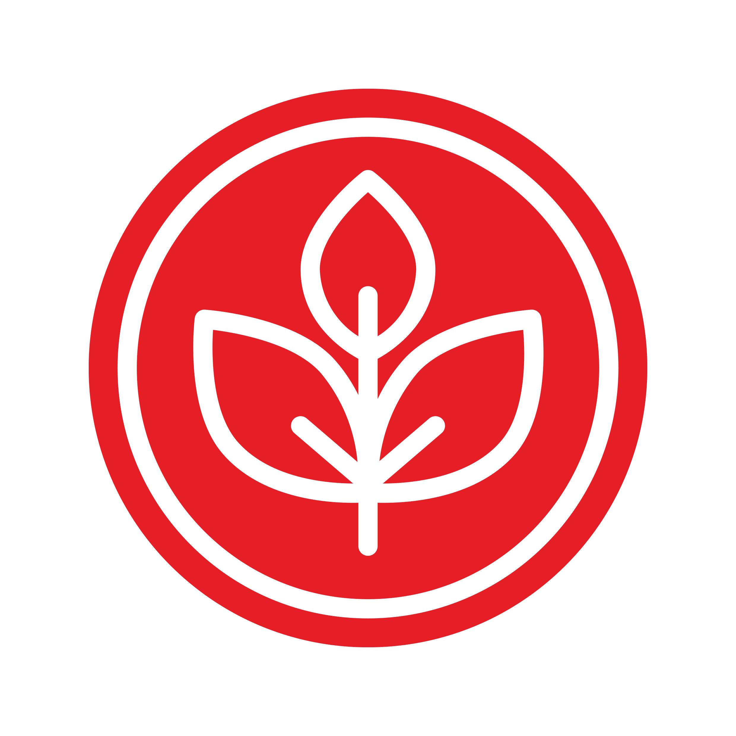 non-toxic